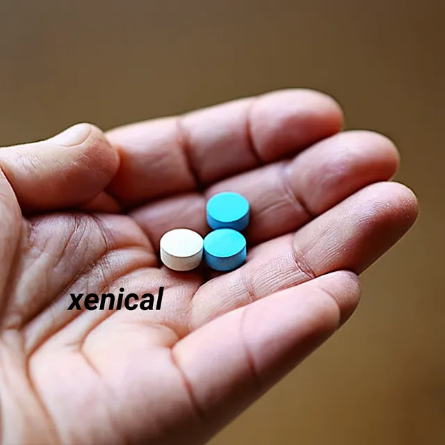 Precio de las pastillas xenical de roche